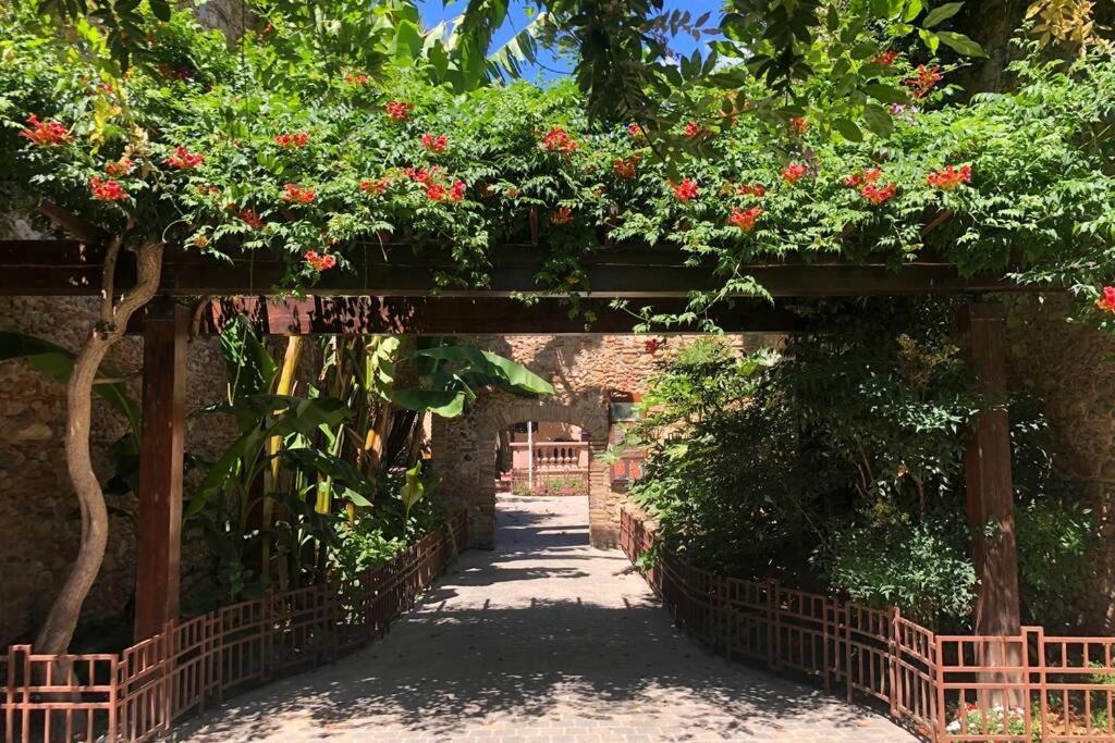 Carrer Del Sol Villa Sainte-Marie-la-Mer Exteriör bild